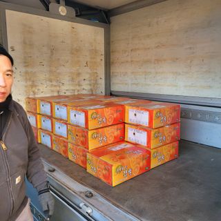 서귀포달코롬감귤농원님의 자유주제 · 자유게시판 작성글 사진