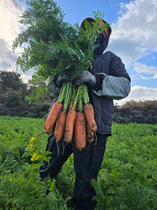 정현석님의 자유주제 · 자유게시판 작성글 사진