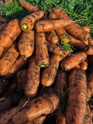 정현석님의 자유주제 · 자유게시판 작성글 사진