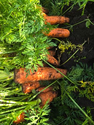 정현석님의 자유주제 · 자유게시판 작성글 사진