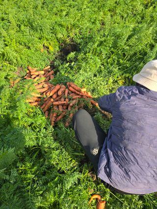 정현석님의 자유주제 · 자유게시판 작성글 사진