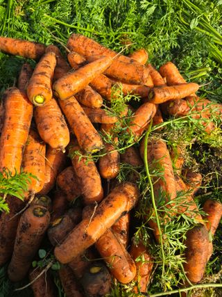 정현석님의 자유주제 · 자유게시판 작성글 사진