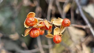 안길원님의 자유주제 · 자유게시판 작성글 사진