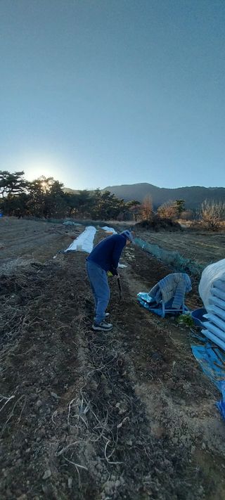 삿갓농부님의 자유주제 · 자유게시판 작성글 사진