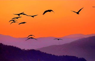 안길원님의 자유주제 · 자유게시판 작성글 사진