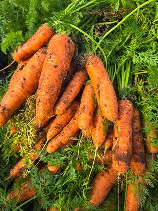 정현석님의 자유주제 · 자유게시판 작성글 사진