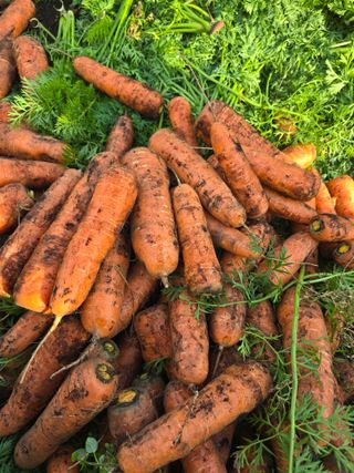 정현석님의 자유주제 · 자유게시판 작성글 사진