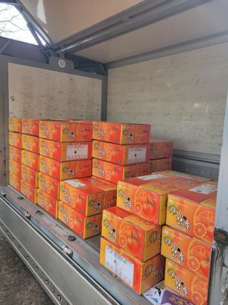 서귀포달코롬감귤농원님의 자유주제 · 사진전 작성글 사진