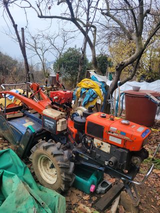 진해풍호동텃밭님의 작성글 사진