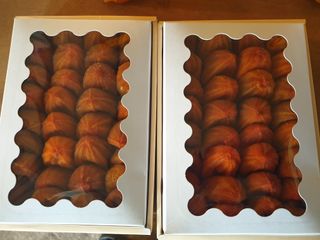 세미골곶감님의 자유주제 · 자유게시판 작성글 사진