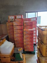 팜모닝 자유주제·사진전 게시글 이미지