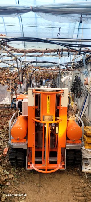 서대산향수님의 자유주제 · 자유게시판 작성글 사진