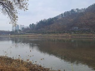 울금박사/빈덕열목사님의 작성글 사진