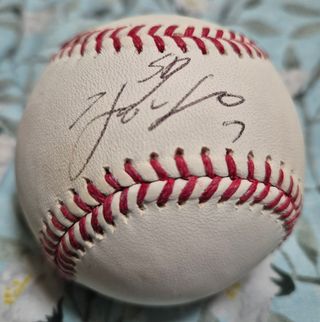 담디농원님의 자유주제 · 자유게시판 작성글 사진