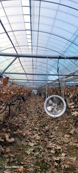 팜모닝 자유주제·자유게시판 게시글 이미지