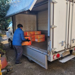 서귀포달코롬감귤농원님의 자유주제 · 자유게시판 작성글 사진