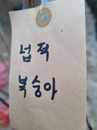 논산푸른팜님의 자유주제 · 자유게시판 작성글 사진