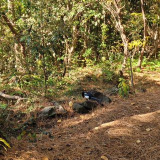 서귀포달코롬감귤농원님의 자유주제 · 자유게시판 작성글 사진