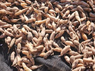 이창신님의 자유주제 · 자유게시판 작성글 사진