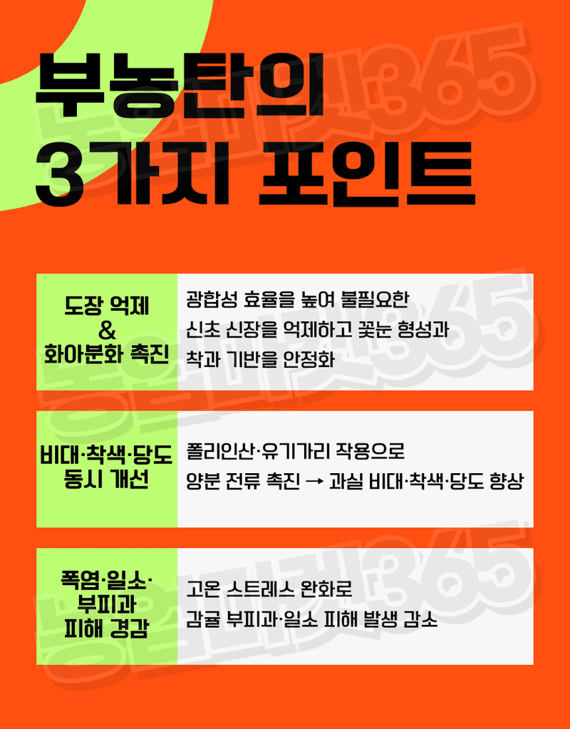 농업마켓365님의 장터 판매 상품 [농업마켓365 융전 부농탄 액제 500ml 도장억제제 웃자람경감제 착색 당도 비대 밑거름 웃거름 기비 추비 사과] 첨부 사진