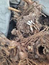 팜모닝 자유주제·자유게시판 게시글 이미지