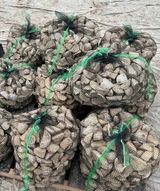 팜모닝 · 게시글 이미지