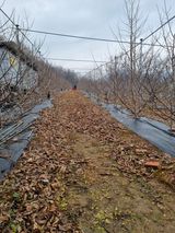 팜모닝 자유주제·자유게시판 게시글 이미지