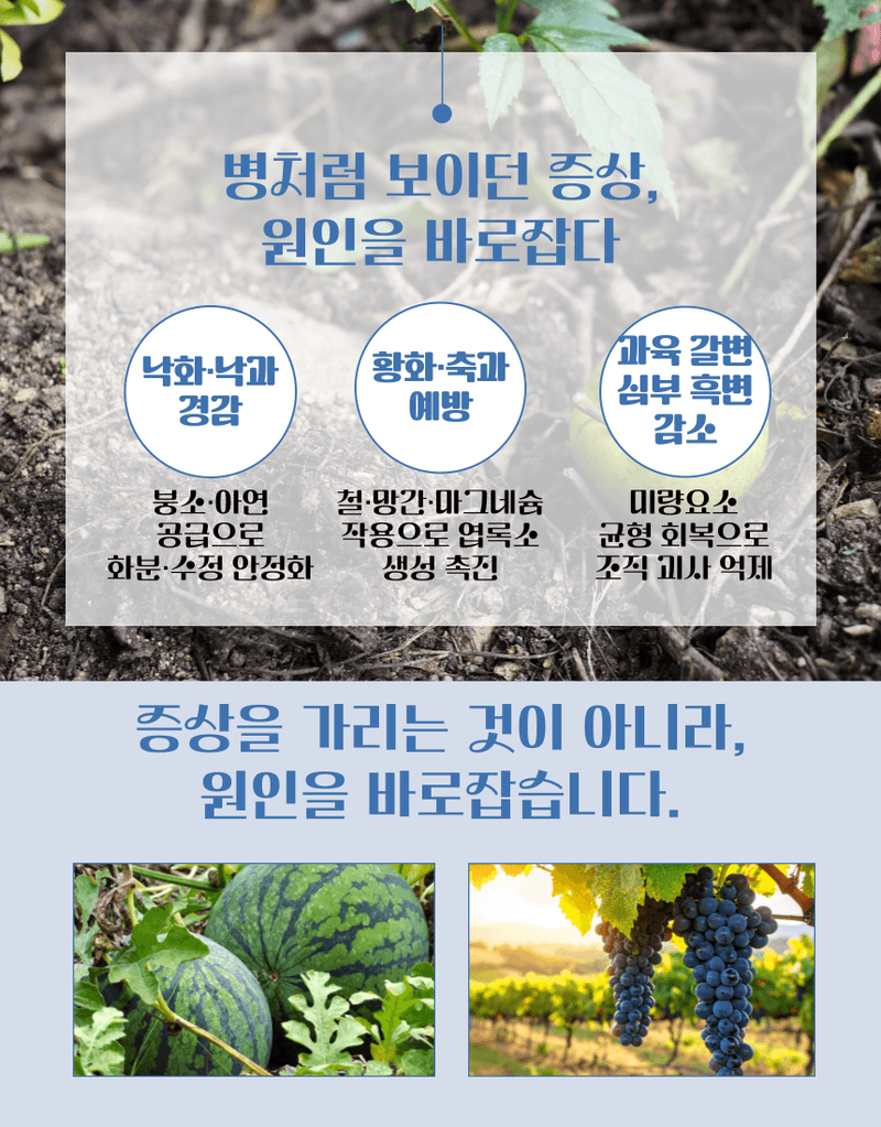 농업마켓365님의 장터 판매 상품 [농업마켓365 융전 미량겐 500ml 미량요소 밑거름 웃거름 기비 추비 비료 생리장해 잎마름 텃밭 주말농장 사과 ] 첨부 사진