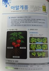 팜모닝 자유주제·자유게시판 게시글 이미지