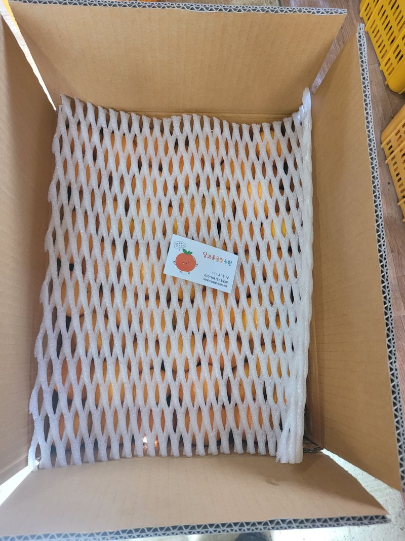 서귀포달코롬감귤농원님의 장터 판매 상품 [조생귤 대과 8.5kg(왕빵귤제외)] 첨부 사진