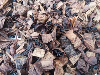 이창신님의 자유주제 · 자유게시판 작성글 사진