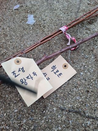 논산푸른팜님의 자유주제 · 자유게시판 작성글 사진