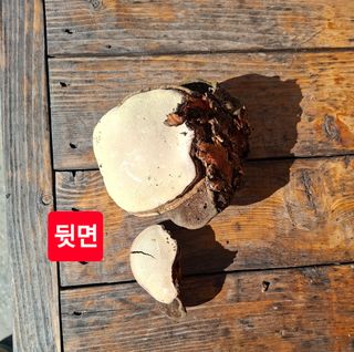 김중언님의 자유주제 · 자유게시판 작성글 사진