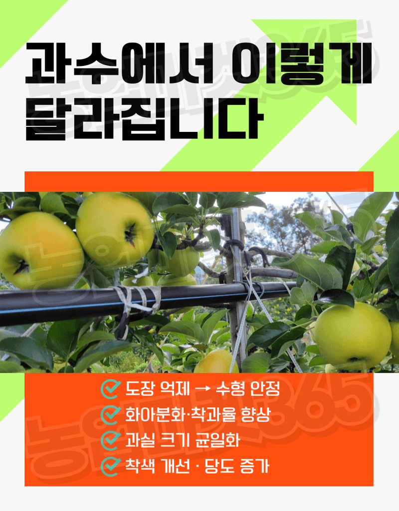 농업마켓365님의 장터 판매 상품 [농업마켓365 융전 부농탄 액제 500ml 도장억제제 웃자람경감제 착색 당도 비대 밑거름 웃거름 기비 추비 사과] 첨부 사진