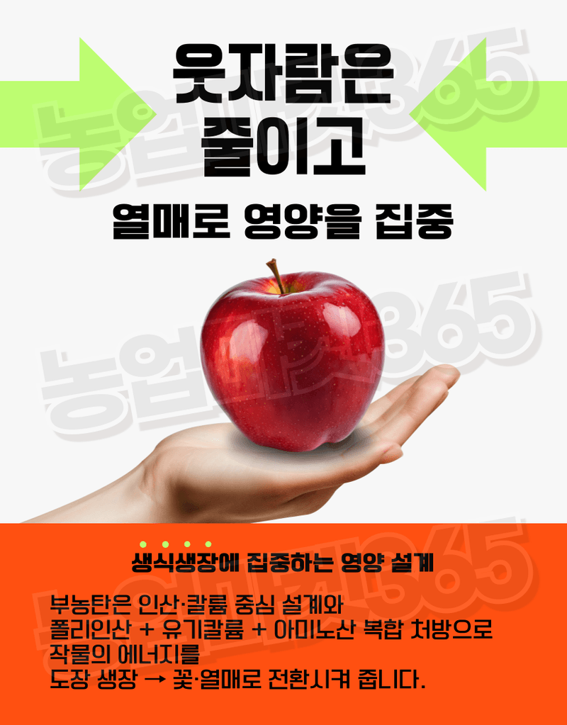농업마켓365님의 장터 판매 상품 [농업마켓365 융전 부농탄 액제 500ml 도장억제제 웃자람경감제 착색 당도 비대 밑거름 웃거름 기비 추비 사과] 첨부 사진