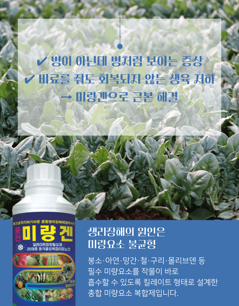농업마켓365님의 장터 판매 상품 [농업마켓365 융전 미량겐 500ml 미량요소 밑거름 웃거름 기비 추비 비료 생리장해 잎마름 텃밭 주말농장 사과 ] 첨부 사진