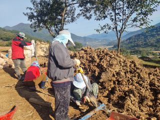 이호성님의 자유주제 · 자유게시판 작성글 사진