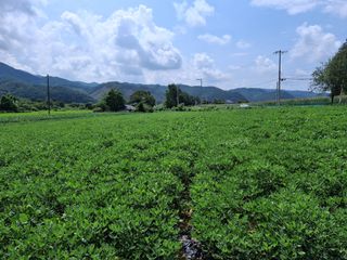 신현효님의 작성글 사진