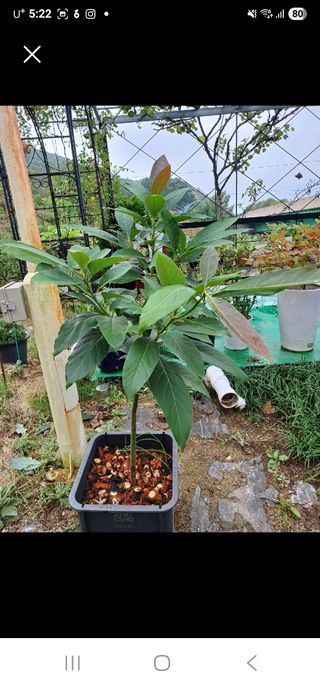 김선례님의 자유주제 · 자유게시판 작성글 사진