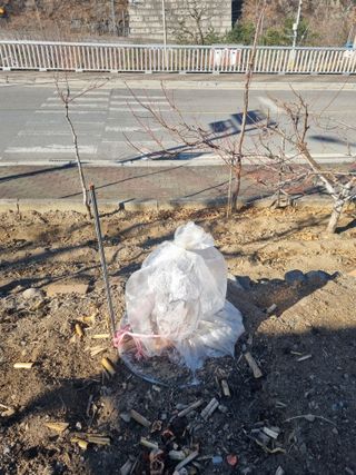 김용대님의 자유주제 · 자유게시판 작성글 사진