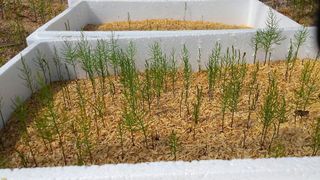 이창신님의 자유주제 · 자유게시판 작성글 사진