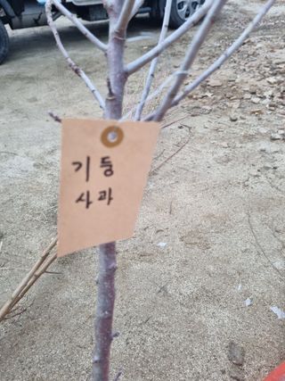 논산푸른팜님의 자유주제 · 자유게시판 작성글 사진