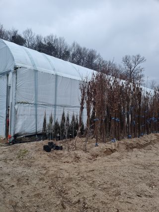 논산푸른팜님의 자유주제 · 자유게시판 작성글 사진