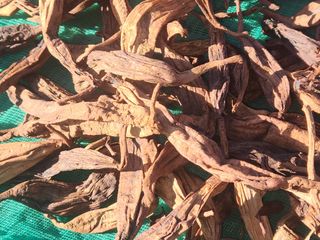 이창신님의 자유주제 · 자유게시판 작성글 사진