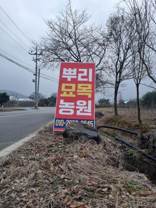 논산푸른팜님의 자유주제 · 자유게시판 작성글 사진