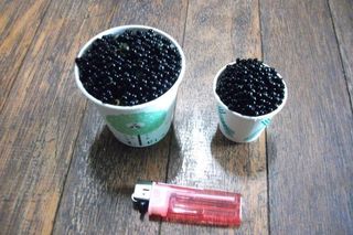 이창신님의 자유주제 · 자유게시판 작성글 사진