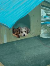 팜모닝 자유주제·자유게시판 게시글 이미지