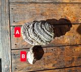 팜모닝 자유주제·자유게시판 게시글 이미지