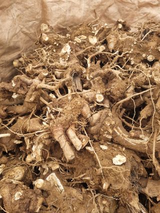 이호성님의 자유주제 · 자유게시판 작성글 사진