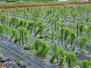 이창신님의 자유주제 · 자유게시판 작성글 사진